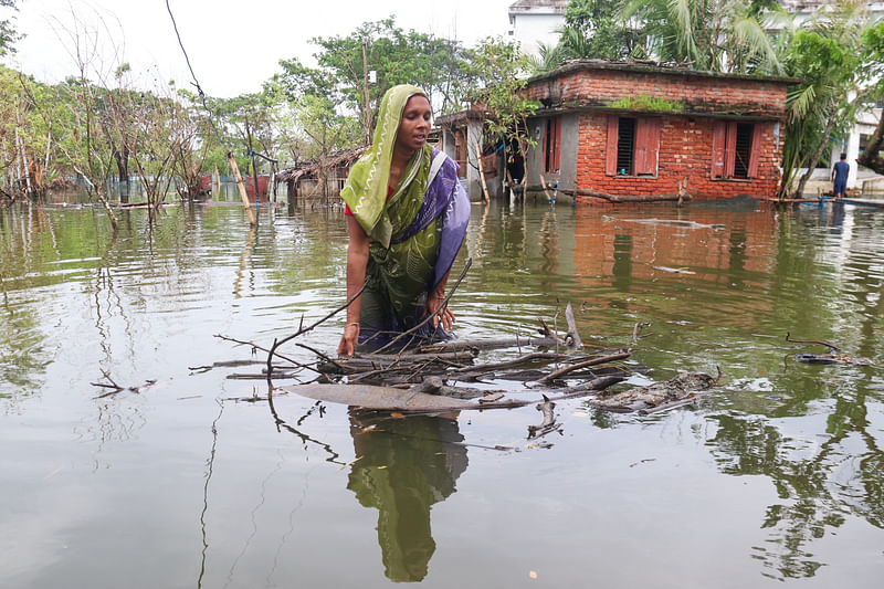 জোয়ারের পানিতে আবার কয়রার বেশির ভাগ এলাকা প্লাবিত হয়েছে। পানিতে ভাসা জ্বালানির কাঠ সংগ্রহ করছেন এক নারী। মদিনাবাদ, কয়রা, খুলনা। ২৭ আগস্ট