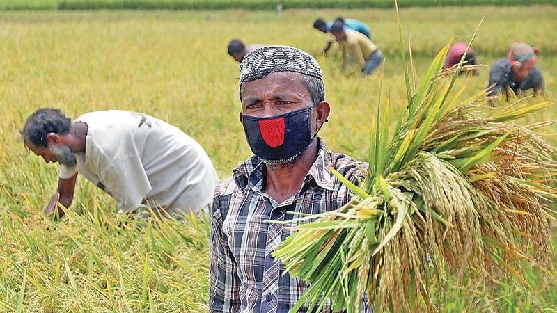 কৃষকের ভাগ্যের কোনো পরিবর্তন নেই