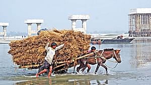 শুকনো মৌসুমে তিস্তার পানি খুব কমে যায়