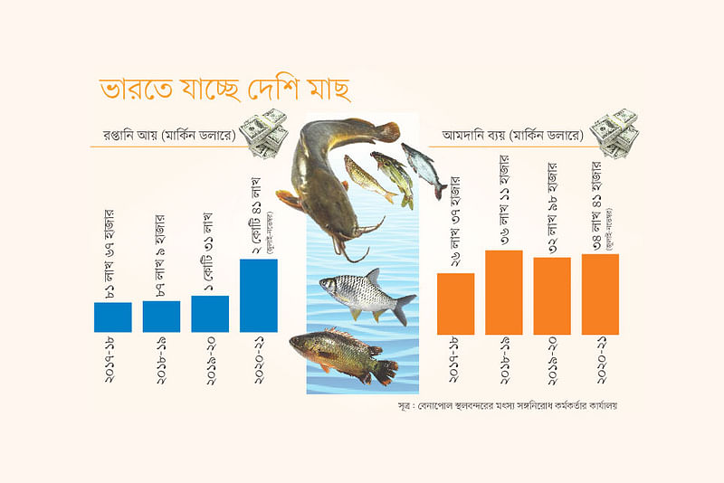 তথ্য সূত্র: বেনাপোল স্থলবন্দরের মৎস্য সঙ্গনিরোধ কর্মকর্তার কার্যালয়