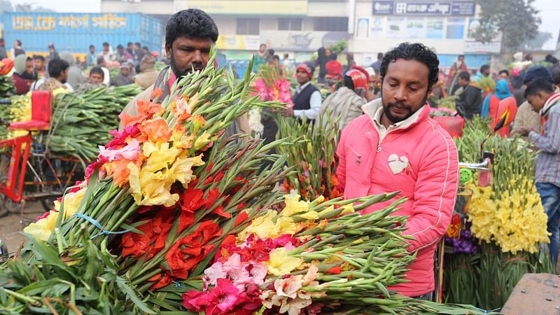 গ্লাডিওলাস ফুল বাজারে আনা হয়েছে।