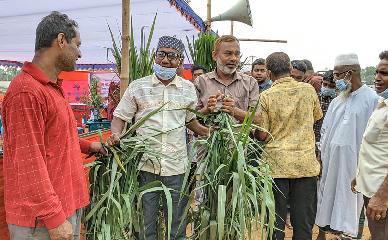 গ্রামের খামারিরা ঘাস বিক্রির জন্য নির্দিষ্ট স্থান পেয়েছেন। বৃহস্পতিবার গাজীপুরের কাপাসিয়া উপজেলার আমরাইদ বাজারে।