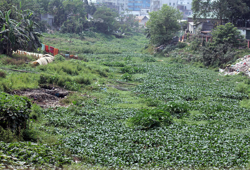 প্রমত্তা নরসুন্দা নদী যেন এখন ময়লার ভাগাড়। শনিবার কিশোরগঞ্জ শহরের বড়বাজার এলাকায়