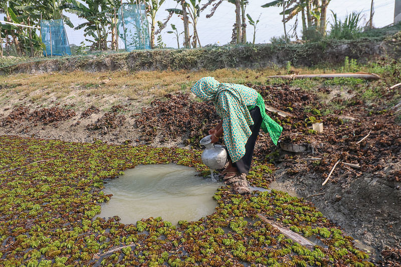 পরিবারের আনুষঙ্গিক কাজের ব্যবহারের জন্য টোপাপানা সরিয়ে পুকুর থেকে পানি সংগ্রহ করছেন সুমি। খুড়িয়াখালী, শরণখোলা উপজেলা, বাগেরহাট