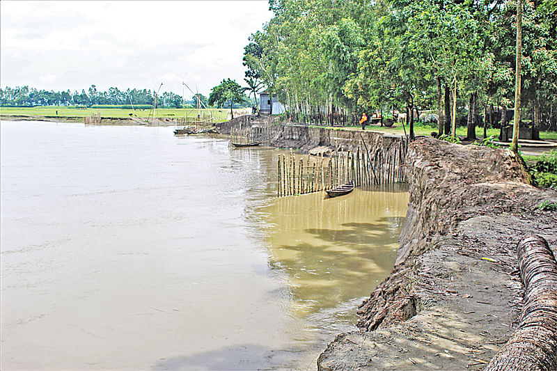 জামালপুরের বকশীগঞ্জ উপজেলার কুশলনগর গ্রামে দশানী নদীর ভাঙনে বিলীন হচ্ছে ঘরবাড়ি ও ফসলি জমি। গত শনিবার সকালে তোলা ছবি।