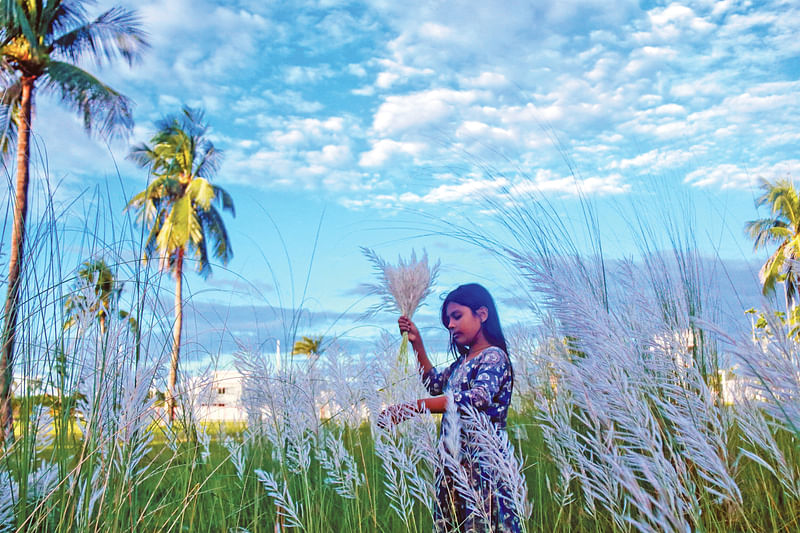 বর্ষপঞ্জিকার হিসাব অনুযায়ী আজ সোমবার শুরু হচ্ছে শরৎকাল। নীলাকাশে সাদা মেঘের ভেলা আর শুভ্র কাশফুল জানিয়ে দেয় এই ঋতুর আগমনী বার্তা। গতকাল পাবনার      দোগাছি  ইউনিয়নের দ্বীপচর এলাকায়