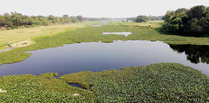 পাবনা শহরে ইছামতী নদী। কোথাও ক্ষীণকায়, কোথাও স্বাস্থ্যবান।