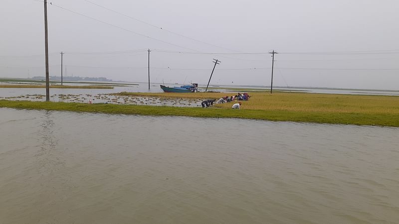 নেত্রকোনার খালিয়াজুরীতে ধনু নদে হঠাৎ পানি বাড়ায় হাওরের একমাত্র ফসল বোরো ধান নিয়ে শঙ্কায় আছেন স্থানীয় কৃষকেরা। ছবিটি আজ রোববার সকালে রসুলপু ঘাটের কাছ থেকে তোলা