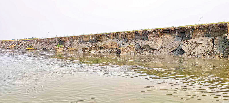 যমুনার পানি বাড়ায় ভাঙছে নদীতীরবর্তী এলাকা। বগুড়ার সারিয়াকান্দি উপজেলার  বিরামের পাঁচগাছি চরে গত বুধবার