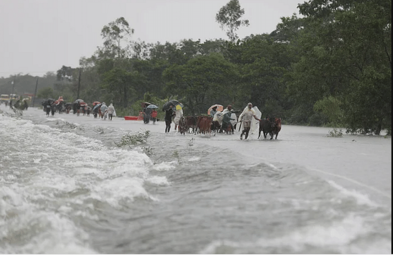 চেরাপুঞ্জির রেকর্ড বৃষ্টি কি বর্তমান পরিস্থিতির একমাত্র কারণ?