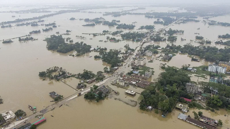 এবারের বন্যায় সিলেটের কোম্পানীগঞ্জের বিস্তীর্ণ এলাকা ডুবে যায়।