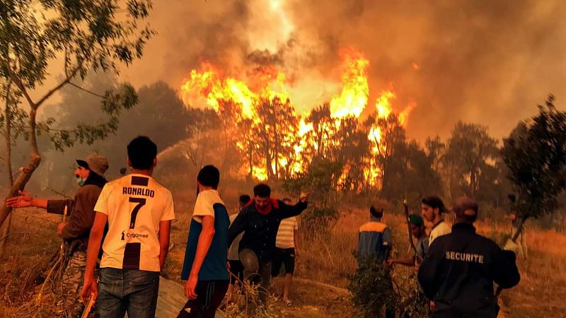 আলজেরিয়ার এল টার্ফ, সেফিত এলাকাসহ আরও কয়েকটি এলাকায় ছড়িয়ে পড়েছে দাবানল।