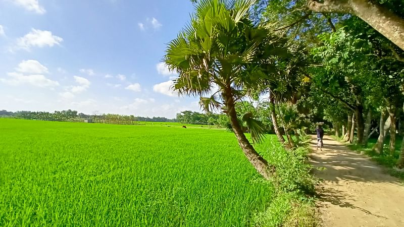 একদুয়ারিয়া গ্রামের মেঠোপথেও মন হারিয়ে যায়