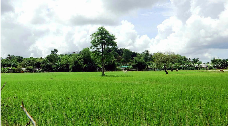 নাইক্ষ্যংছড়ির ঘুমধুম সীমান্তের ওপারে মিয়ানমারের রাখাইন রাজ্য