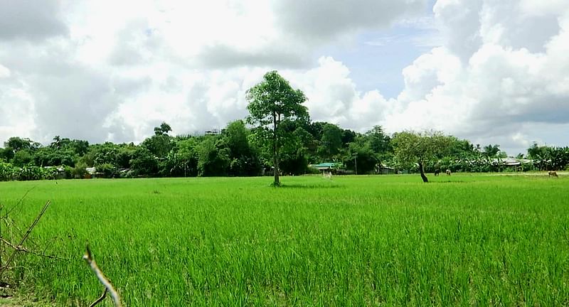 বান্দরবানের নাইক্ষ্যংছড়ি উপজেলার ঘুমধুম ইউনিয়নের তুমব্রু সীমান্ত