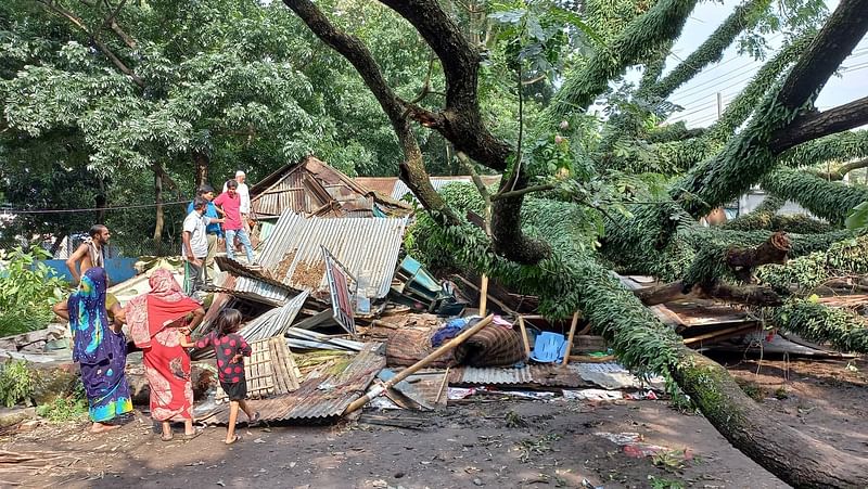 ঘূর্ণিঝড় সিত্রাংয়ের প্রভাবে নরসিংদী শহরের সাটিরপাড়া এলাকায় বিশাল কড়ইগাছ পড়ে যায়। এর নিচে চাপা পড়ে তিন পরিবারের তিনটি ঘর