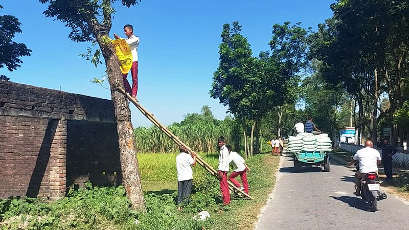 শিক্ষার্থীদের দিয়ে ঝুঁকি নিয়ে টাঙানো হচ্ছে শিক্ষার্থী ভর্তির বিজ্ঞাপন