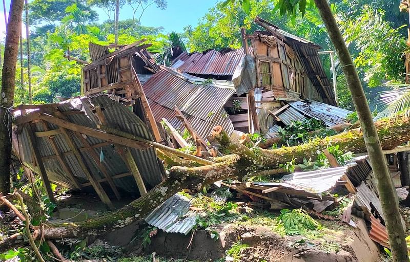 ঘূর্ণিঝড় আঘাতে গাছ উপড়ে বসতঘর বিধ্বস্ত হয়েছে