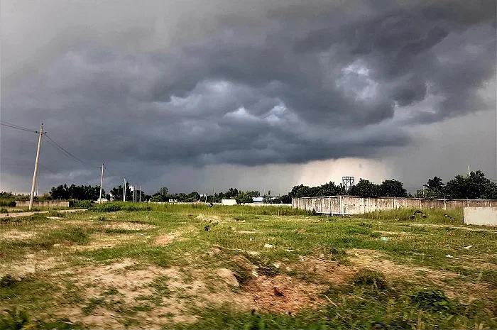 পূর্বাচলে রাজউকের প্লট