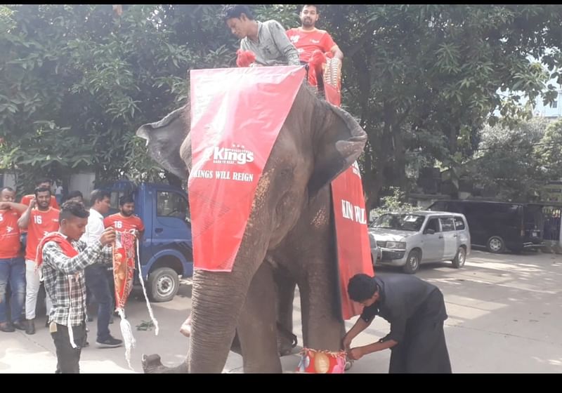 হাতির পিঠে চড়ে দলবদলে এসেছে বসুন্ধরা কিংস