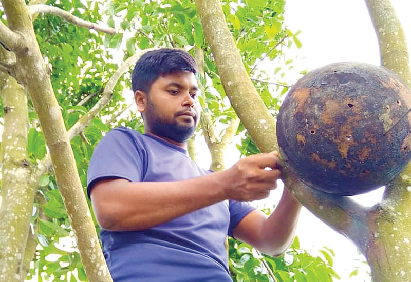 চুয়াডাঙ্গার ৬২ আড়িয়া গ্রামে গাছের ডালে পাখির জন্য কৃত্রিম বাসা তৈরি করছেন শাহীন সরকার