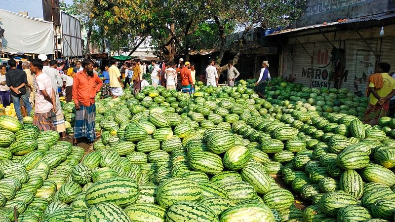 বরিশাল–পটুয়াখালীসহ দক্ষিণাঞ্চলের কয়েকটি জেলা থেকে এখানে তরমুজ আসে। আজ শনিবার সকালে মুন্সিগঞ্জ সদর উপজেলার মুক্তাপুর পুরোনো ফেরিঘাট এলাকায়