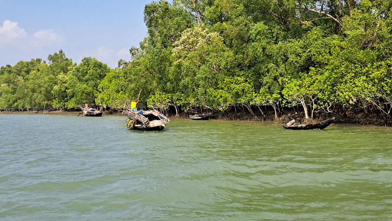 সুন্দরবনের কটকা খালে মাছ ধরছেন জেলেরা