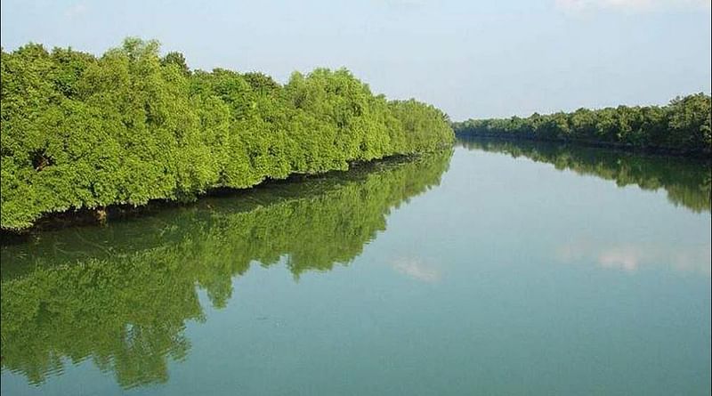 পৃথিবীর সবচেয়ে বড় ম্যানগ্রোভ বনাঞ্চল সুন্দরবন