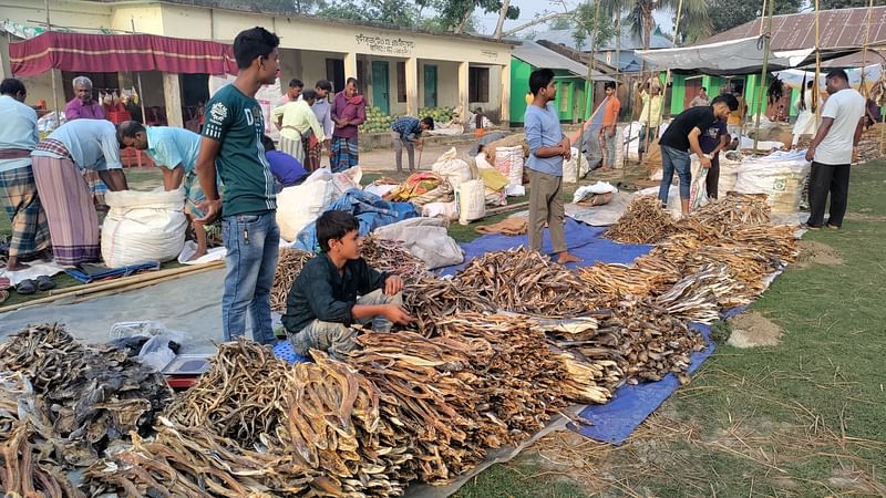 ঐতিহ্যবাহী শুঁটকির এই মেলা চলবে আজ শনিবার ও কাল রোববার। ব্রাহ্মণবাড়িয়ার নাসিরনগর উপজেলার কুলিকুন্ডা গ্রামের কুলিকুন্ডা সরকারি প্রাথমিক বিদ্যালয়ের মাঠে