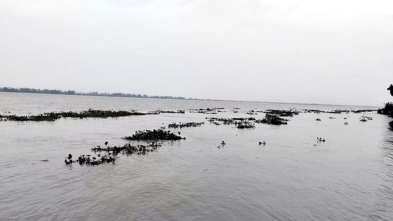 গাইবান্ধায় সবগুলো নদ-নদীর পানি কমেছে। আজ সোমবার সকালে গাইবান্ধা সদর উপজেলার কামারজানি এলাকায় ব্রহ্মপুত্র নদে