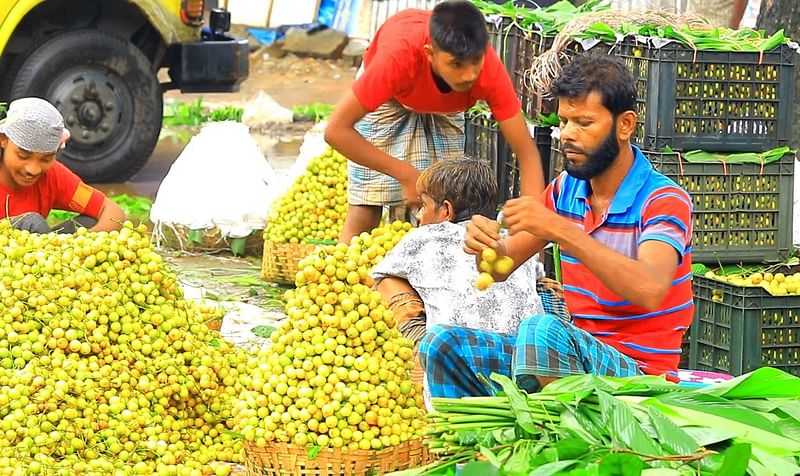 দেশের বিভিন্ন স্থানে পাঠানোর জন্য প্রস্তুত করা হচ্ছে লটকন। সম্প্রতি নরসিংদীর রায়পুরার মরজাল হাটে