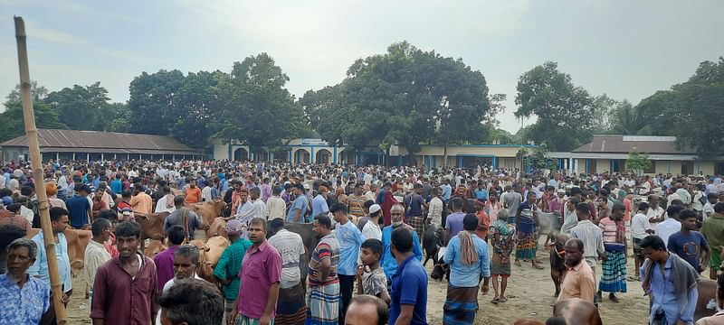 টাঙ্গাইলের ঘাটাইল উপজেলার কদমতলী হাসান পাবলিক হাইস্কুলের মাঠে ৩৭ বছর ধরে প্রতি রোববার পশুর হাট বসে। এতে ব্যাহত হচ্ছে বিদ্যালয়ের শিক্ষাকার্যক্রম। রোববার বিকেলে