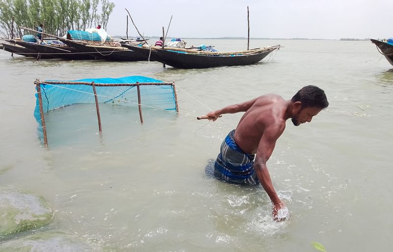 কপোতাক্ষ নদ থেকে চিংড়ির রেণু আহরণ করতে জাল টানছেন এক ব্যক্তি। সম্প্রতি খুলনার সুন্দরবনঘেঁষা কয়রা উপজেলার গাজীপাড়া গ্রামে