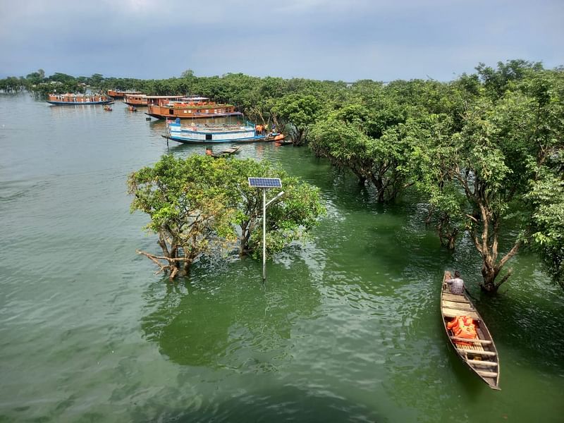 টাঙ্গুয়ার হাওরে করচ গাছের বাগান। সম্প্রতি হাওরের গোলাবাড়ি এলাকার পর্যবেক্ষণ টাওয়ার থেকে তোলা