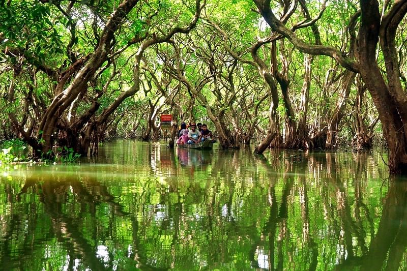 রাতারগুল সোয়াম্প ফরেস্ট