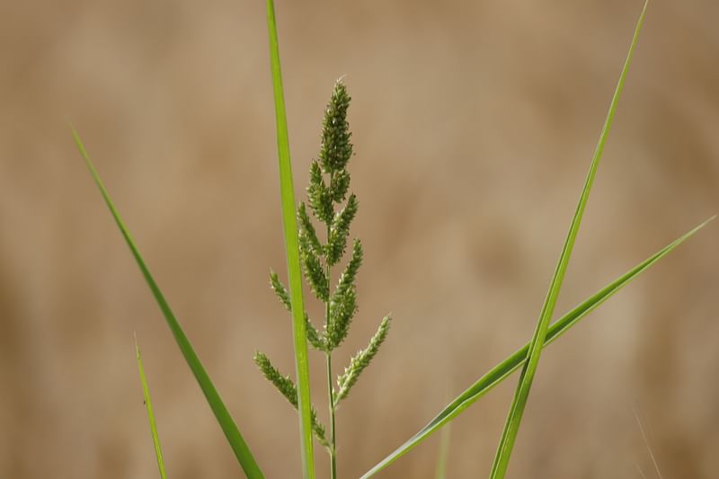 প্রতীকী ছবি