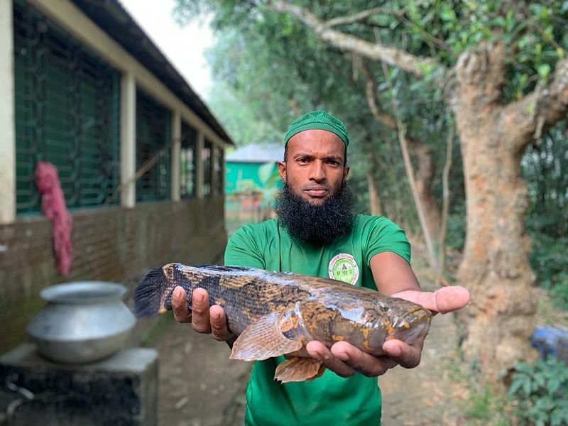 গাজীপুরের শ্রীপুরের বরমী ইউনিয়নের নামা বড়নল গ্ৰামে ধরা পড়া মার্বেল গোবি মাছ। রোববার বিকেলে