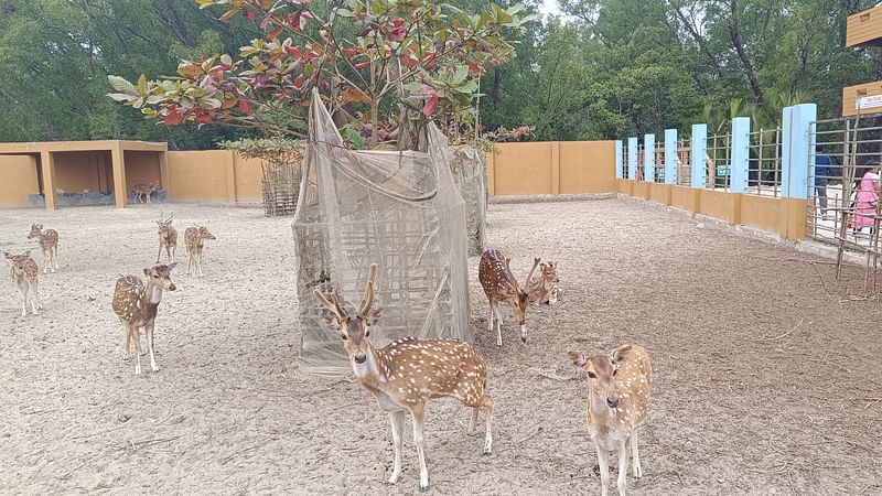 খুলনার দাকোপে সুন্দরবনের কালাবগী ইকো ট্যুরিজম কেন্দ্রটি গত অক্টোবর থেকে পর্যটকদের জন্য খুলে দেয় বন বিভাগ