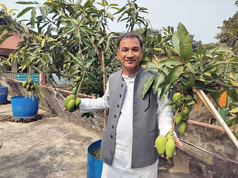 সীতাকুণ্ডের বাঁশবাড়িয়া ইউনিয়ন পরিষদের ছাদবাগানেে থোকায় থোকায় ঝুলছে আম। গত বৃহস্পতিবার সকালে