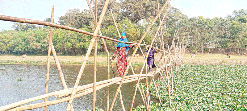 যশোর সদর উপজেলার কচুয়া ইউনিয়নের জরিনার মোড় এলাকায় ভৈরব নদের ওপর নির্মিত সাঁকো দিয়ে ঝুঁকি নিয়ে মানুষের পারাপার