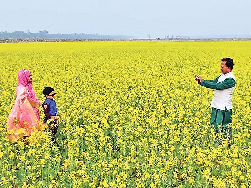 খুলনার পাইকগাছায় কপোতাক্ষ পারে প্রথমবারের মতো শর্ষে আবাদ করা হয়েছে। শর্ষেখেতের সৌন্দর্য দেখতে আসছেন অনেকে