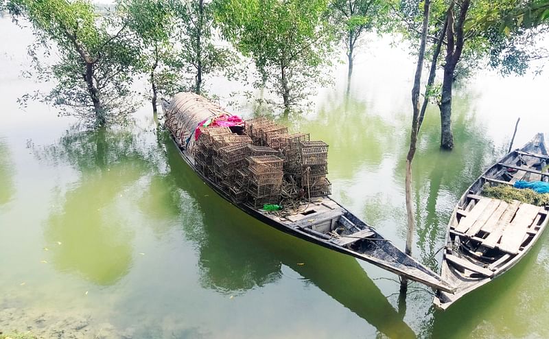 প্রজনন মৌসুম শুরু হওয়ায় সুন্দরবনে কাঁকড়া ধরার ওপর দুই মাসের নিষেধাজ্ঞা জারি করেছে বন বিভাগ। কাঁকড়া ধরার সরঞ্জামসহ নৌকা নিয়ে লোকালয়ে ফিরছেন জেলেরা। খুলনার কয়রা উপজেলার সুন্দরবন সংলগ্ন মঠবাড়ি গ্রামের শাকবাড়িয়া নদীর তীরে