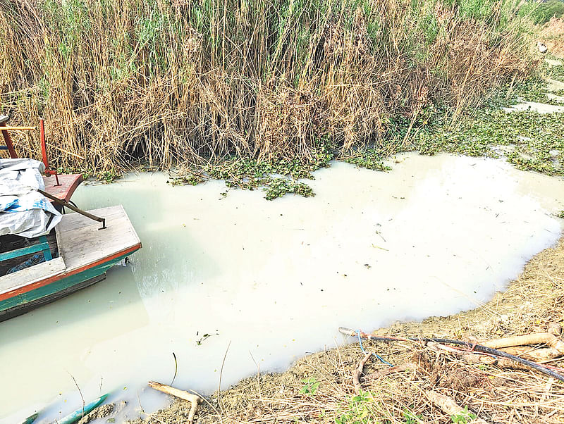 রাবার কারখানার দূষণের কারণে সাদা হয়ে গেছে ছড়ার পানি। সম্প্রতি রাঙামাটির মানিকছড়ির দেপ্পোছড়ি মুখ এলাকায়