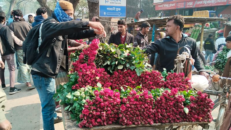 বিক্রির জন্য গোলাপ নিয়ে এসেছেন চাষিরা। আজ সোমবার সকালে যশোরের ঝিকরগাছা উপজেলার গদখালী পাইকারি ফুলবাজারে