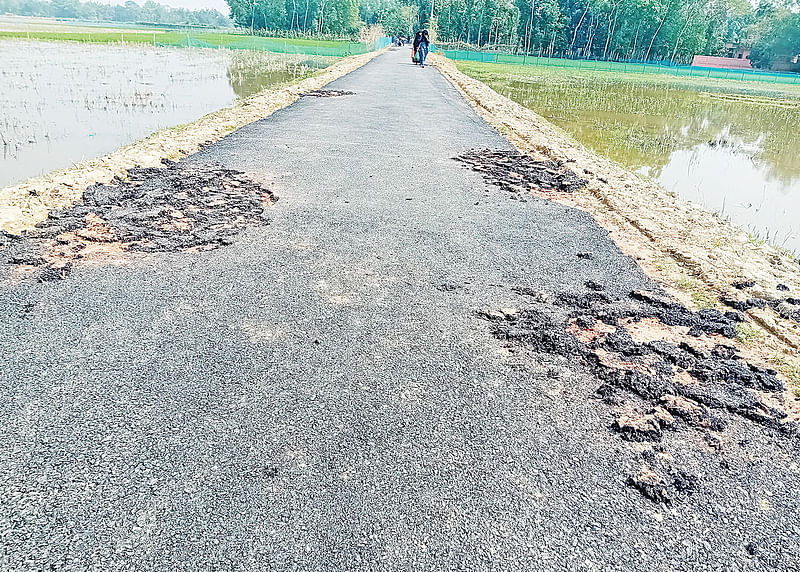 সদ্য পাকা করা সড়কটির বিভিন্ন স্থানের কার্পেটিং তুলে ফেলা হয়েছে