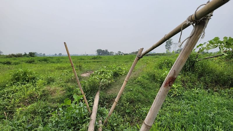 নারায়ণগঞ্জের বন্দর ও সোনারগাঁ উপজেলার তিনটি ইউনিয়নজুড়ে বাঘরী বিলের অবস্থান। রোববার রাতে এই বিলে গ্রামবাসীর পিটুনিতে চারজন নিহত হন। গত সোমবার তোলা