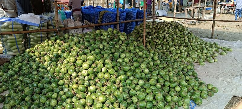 পাইকারি ক্রেতা না থাকায় কম দামে সবজি বিক্রি করতে হচ্ছে কৃষকদের। আজ সকালে সাঁথিয়া উপজেলার করমজা চতুরহাটে