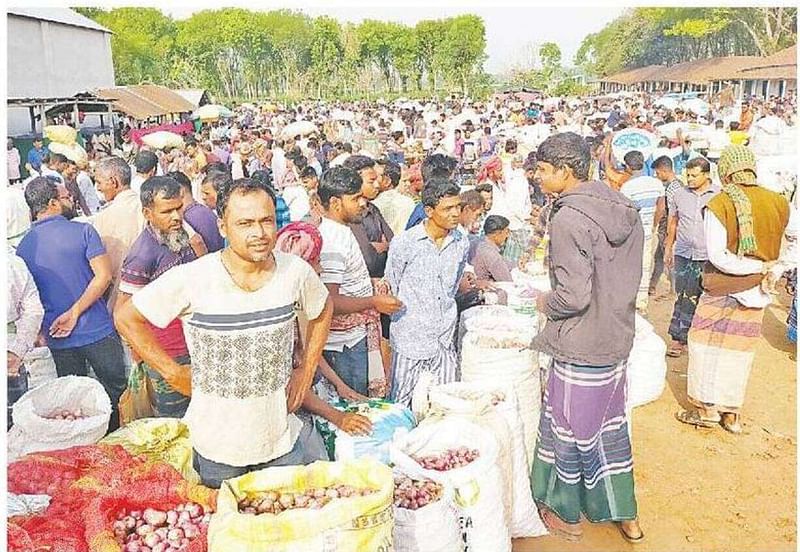 জমজমাট কুষ্টিয়ার কুমারখালী চৌরঙ্গী মহাবিদ্যালয় মাঠে বসা পেঁয়াজের হাট। প্রতি রোববার এ হাট বসে। গত রোববার কৃষকেরা হাটে লাভের আশায় অপরিপক্ব পেঁয়াজও আনেন