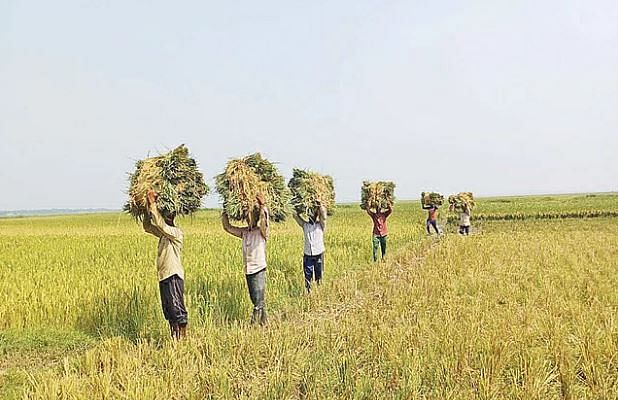 ‘শ্রমিকের ভাগ্য ফিরেছে কি ফেরেনি, তার চেয়ে গুরুত্বপূর্ণ প্রশ্ন হলো, সমাজে শ্রমের মর্যাদা প্রতিষ্ঠিত হয়েছে কি না।’