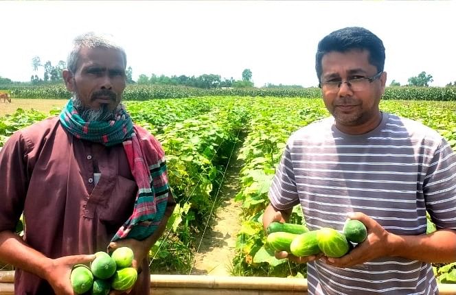 একজন কৃষকদের কাছ থেকে স্বপ্নের কর্মকর্তার শসা সংগ্রহ।